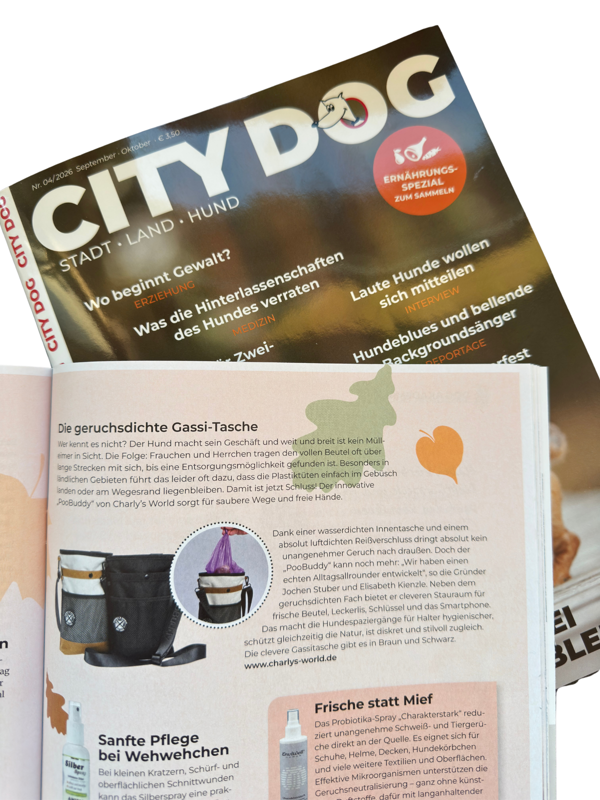 Bekannt aus CITY DOG